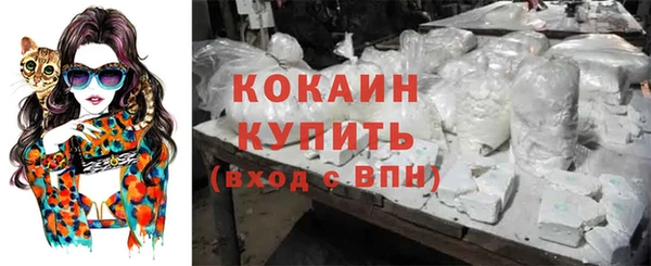 трава Пересвет