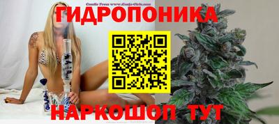амф Дубна