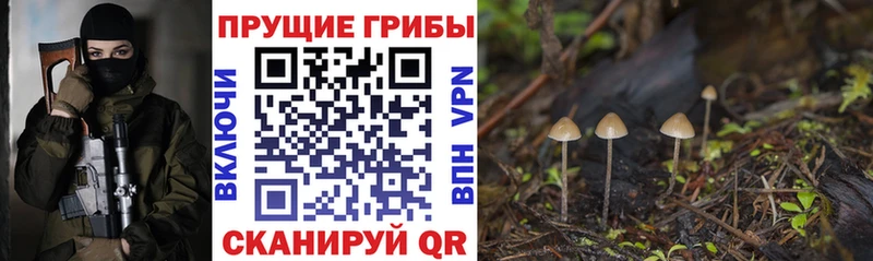Галлюциногенные грибы Magic Shrooms hydra ТОР Кохма