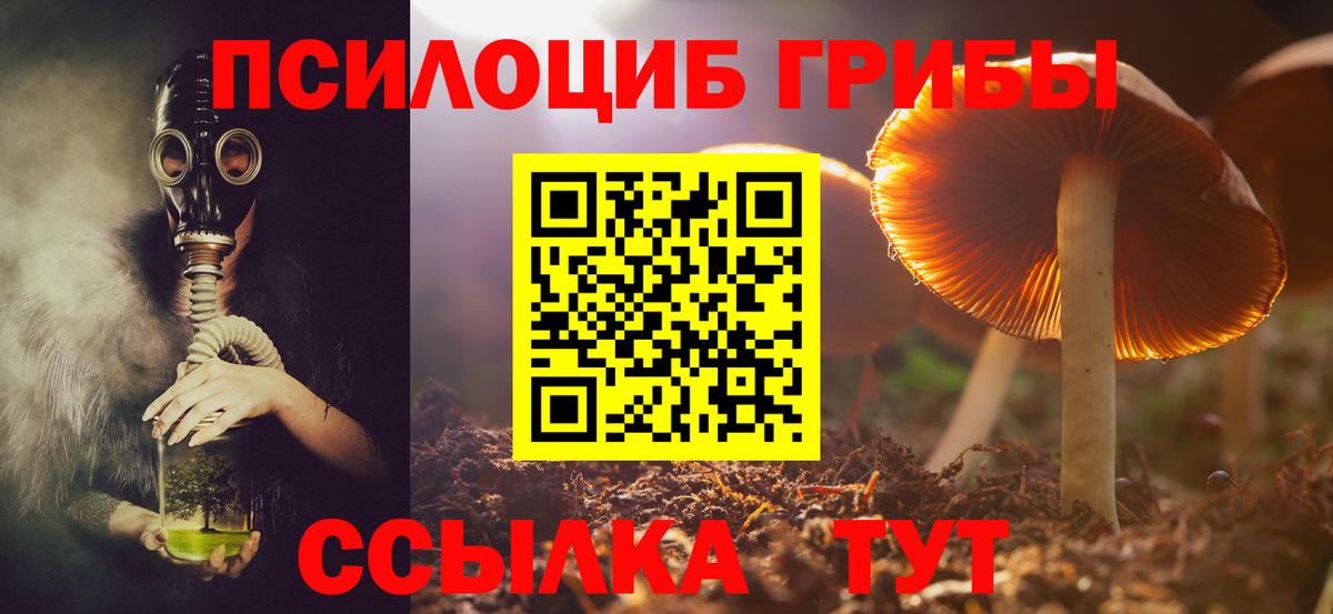 Галлюциногенные грибы MAGIC MUSHROOMS  Галлюциногенные грибы ЛСД  Вход с VPN  наркошоп  Кохма 