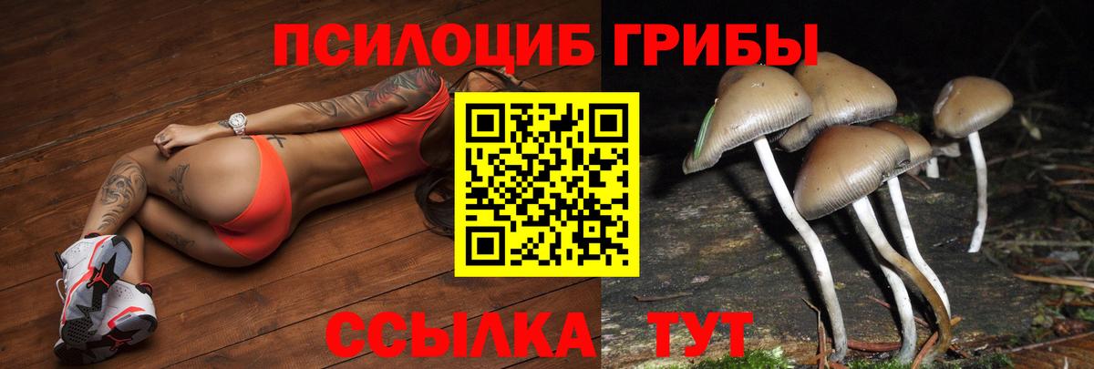 Канабис  A PVP СОЛЬ кристаллы  Гашиш  Вейп ТГК  Меф   COCAIN  Кохма  Бошки Шишки 