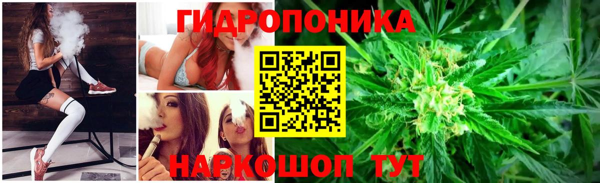 Бошки Шишки гибрид Кохма
